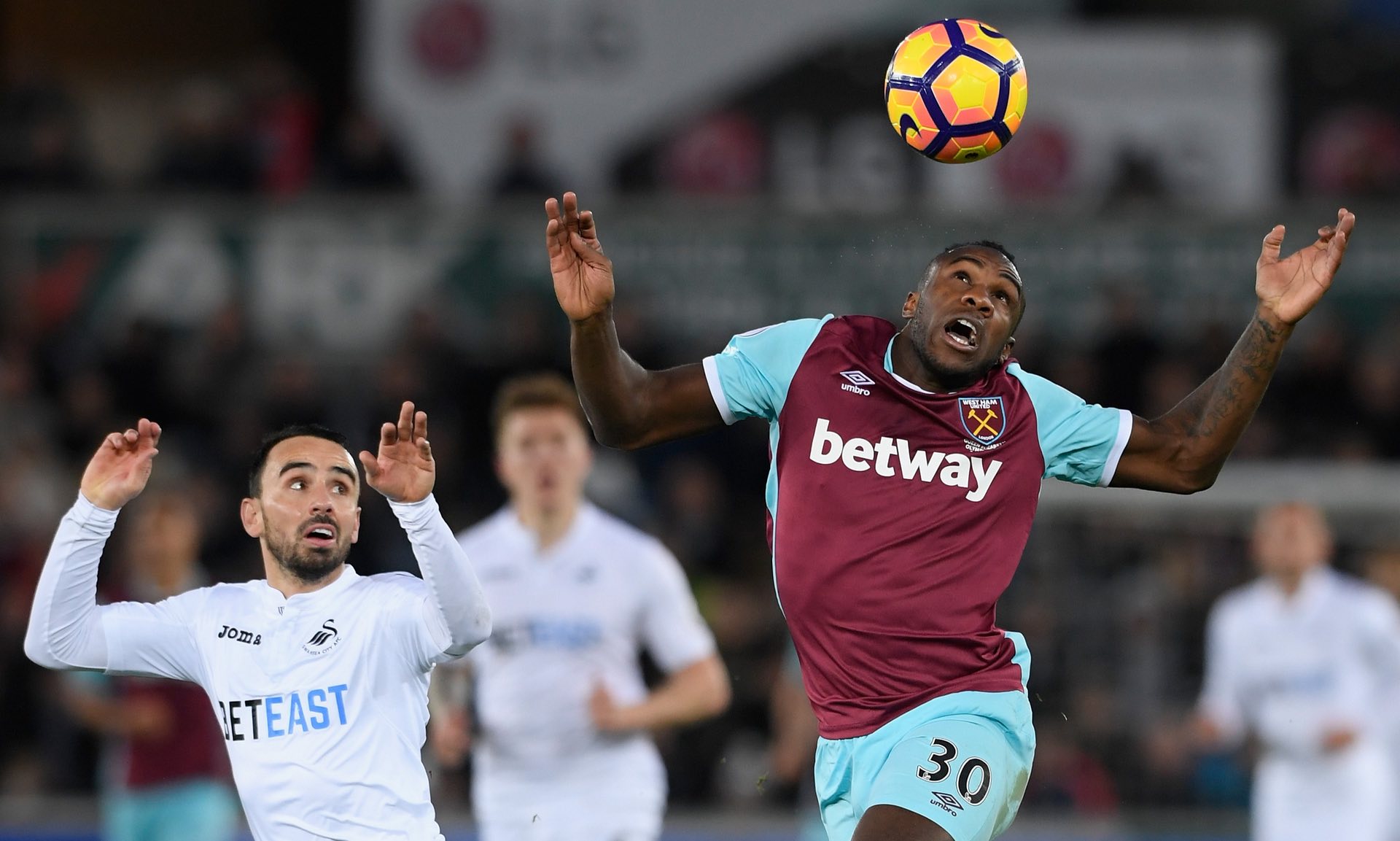 这种来自生 这种来自生